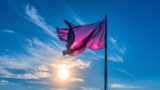 Annual Celebration Involving a Pink Purple and Blue Flag