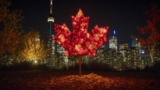 Does Canada Celebrate Valentine’s Day