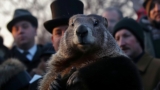 How to Celebrate Groundhog Day